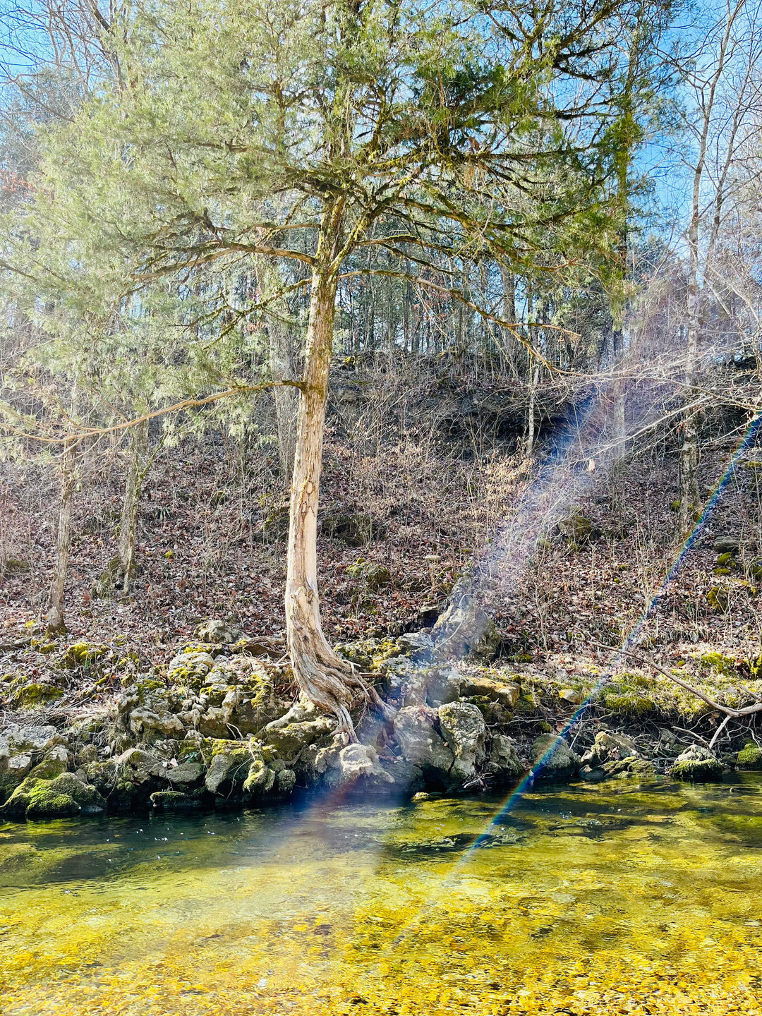 Fly Fishing Unplugged: Cantrell Creek's Top Tips for the Modern Angler