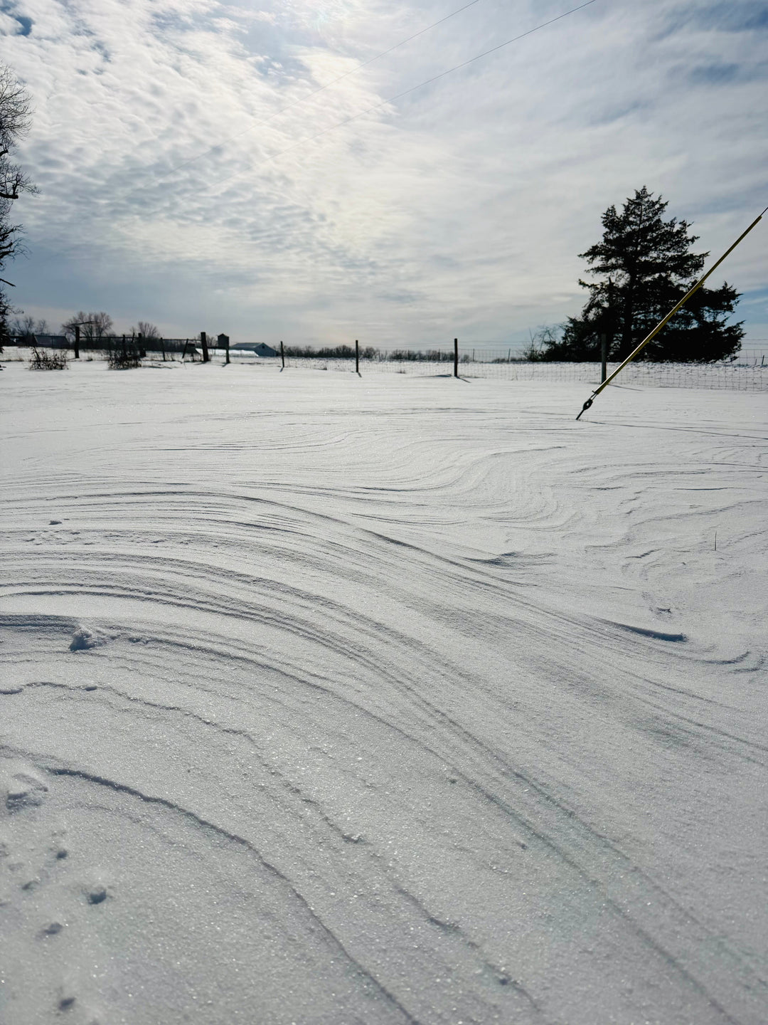 Frozen Creeks Still Flow: Our First Winter at Cantrell Creek