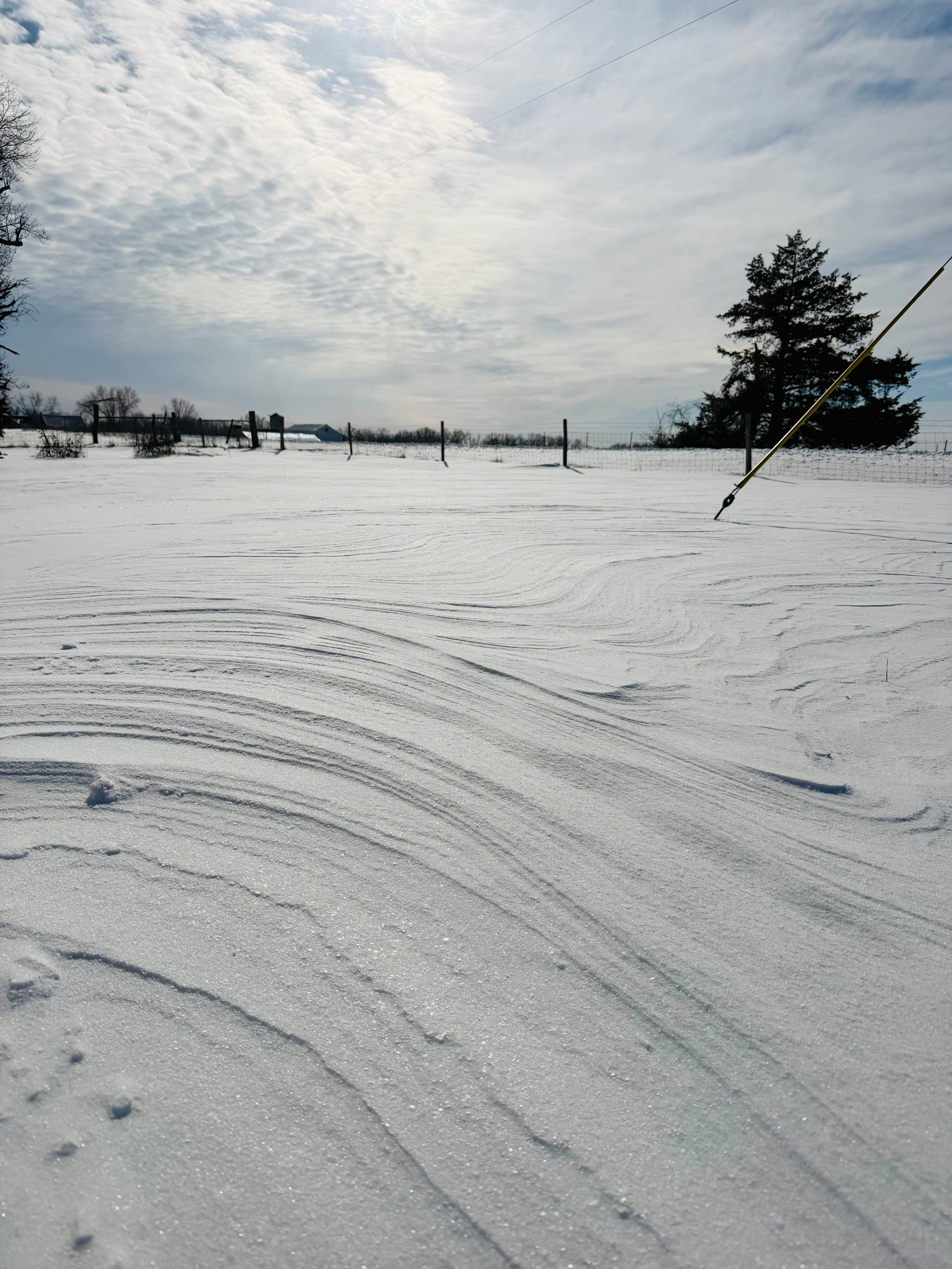 Frozen Creeks Still Flow: Our First Winter at Cantrell Creek
